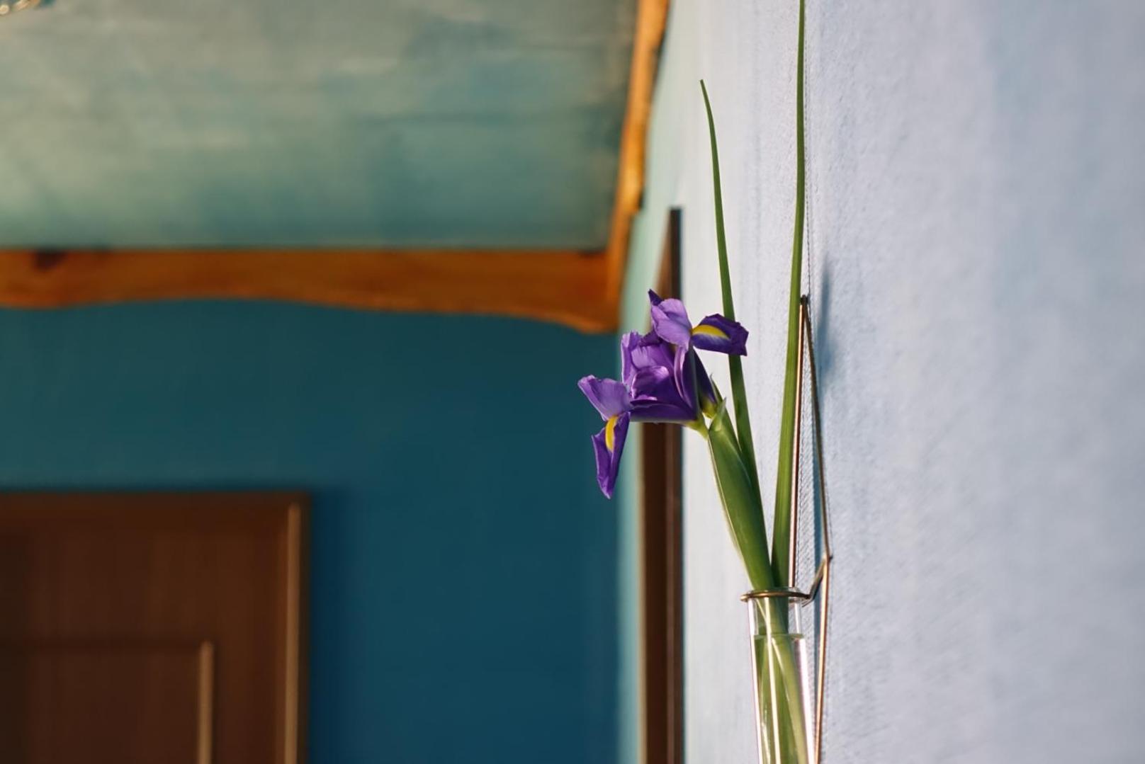 Lodge Mondo Нісіідзу Екстер'єр фото